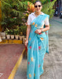 Aqua Blue Checkered Mul Cotton Saree with Floral Print & Tassels