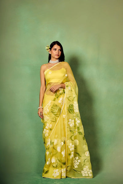 Sky Blue Hand-Painted Pure Organza Saree with White Dogwood Floral Motifs & Modal Satin Blouse