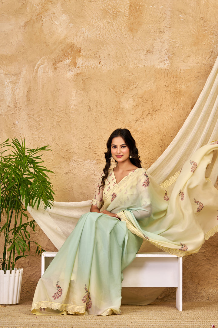 Mint Green & Ivory Ombre Chocolate Silk Saree with Peacock Motifs, Swarovski Work & Ari Cutwork Border
