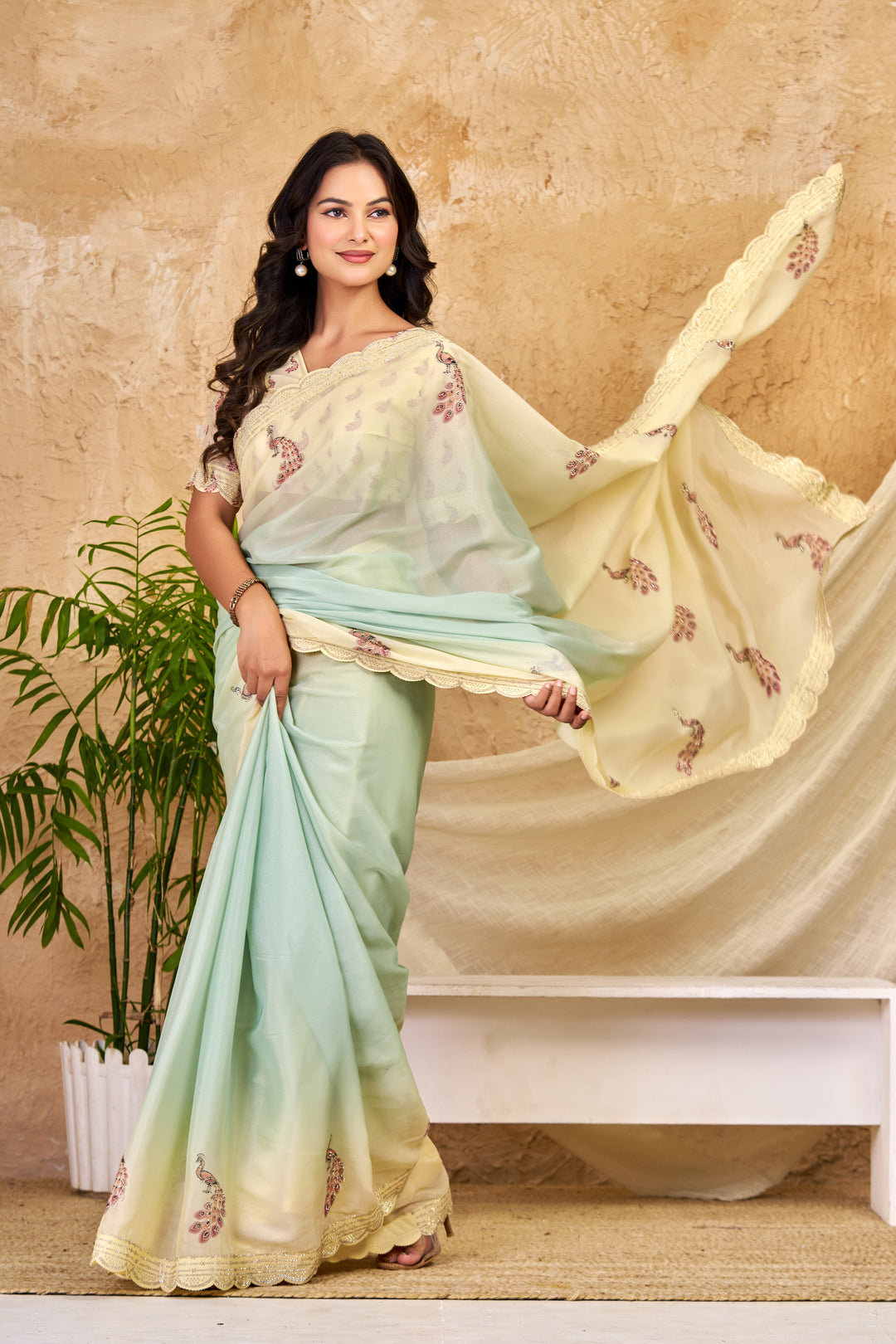 Mint Green & Ivory Ombre Chocolate Silk Saree with Peacock Motifs, Swarovski Work & Ari Cutwork Border