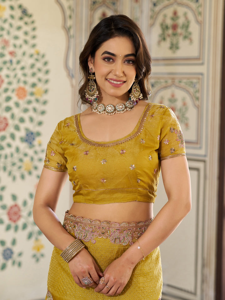 Mustard Yellow Fendy Satin Embroidered Saree with Elephant Motifs & Zari Border | Designer Festive Saree with Tassels & Heavy Embroidered Blouse