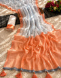 Peach Orange & Ivory Mul Cotton Saree with Blue Chevron Print, Contrast Border, Tassels & Attached Blouse