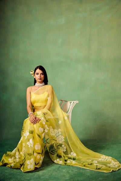 Sky Blue Hand-Painted Pure Organza Saree with White Dogwood Floral Motifs & Modal Satin Blouse