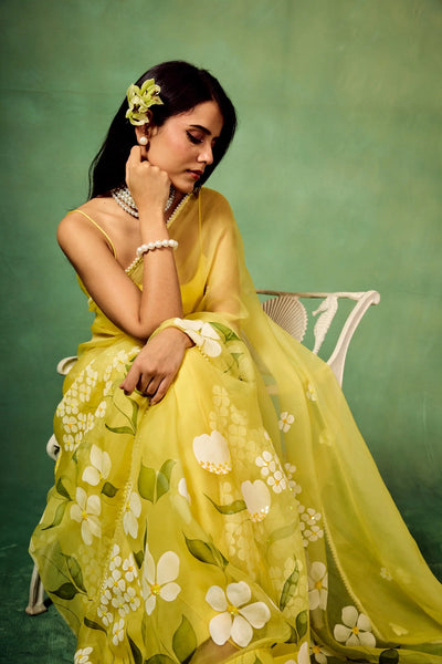 Sky Blue Hand-Painted Pure Organza Saree with White Dogwood Floral Motifs & Modal Satin Blouse