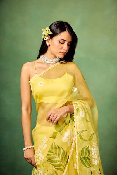 Sky Blue Hand-Painted Pure Organza Saree with White Dogwood Floral Motifs & Modal Satin Blouse